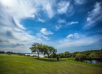 Trees on field against sky