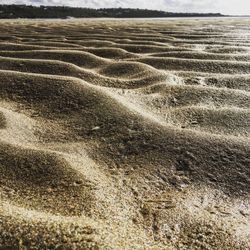 Scenic view of sandy beach