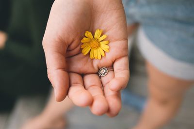 Close-up of hand holding flower