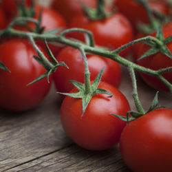 Vine tomatoes