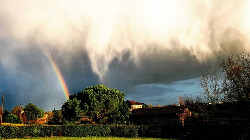 Low angle view of rainbow over trees against sky