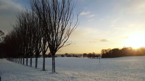 Bare trees on snow field against sky during sunset