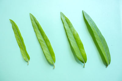 Close-up of vegetable over white background