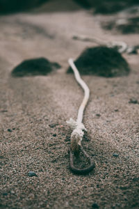 Close-up of sand