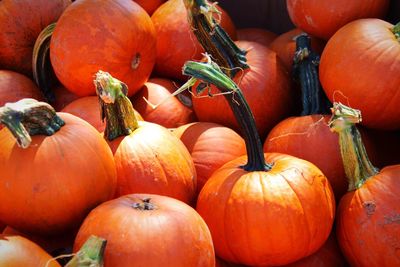 Full frame shot of pumpkins in market