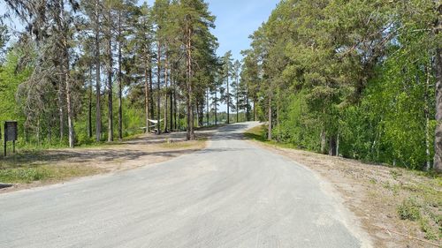 Road amidst trees against sky