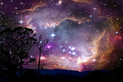 Low angle view of silhouette trees against sky at night