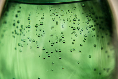 Close-up of water drops on glass