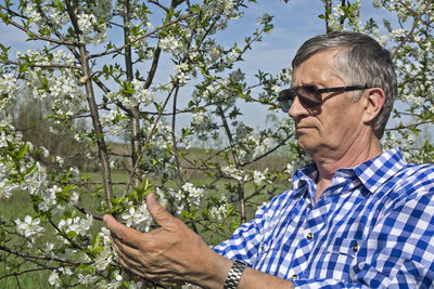 Farmer in his orchard control the quality of flowering fruit trees.