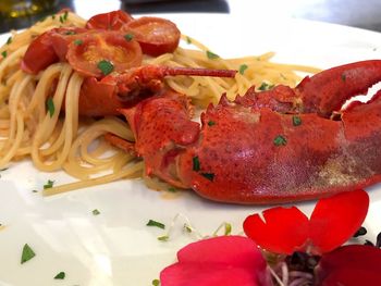 Close-up of meal served in plate