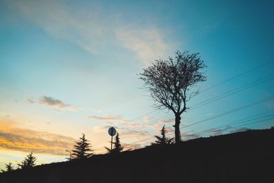 Low angle view of silhouette bare trees against sky