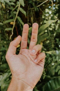 Close-up of hand holding leaf