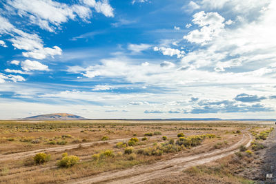 Scenic view of desert against blue sky