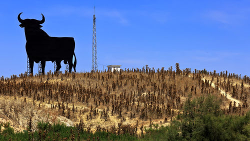 Horse standing on field against sky