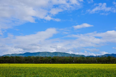 sky