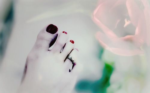 Close-up of woman hand with red rose