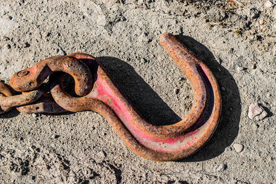 High angle view of old rusty chain on field