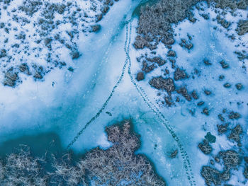 Panoramic aerial view of a frozen lake with animal footprints. animal tracks on the frozen surface 