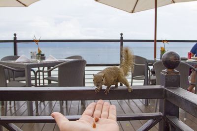 Man feeding on table by sea against sky