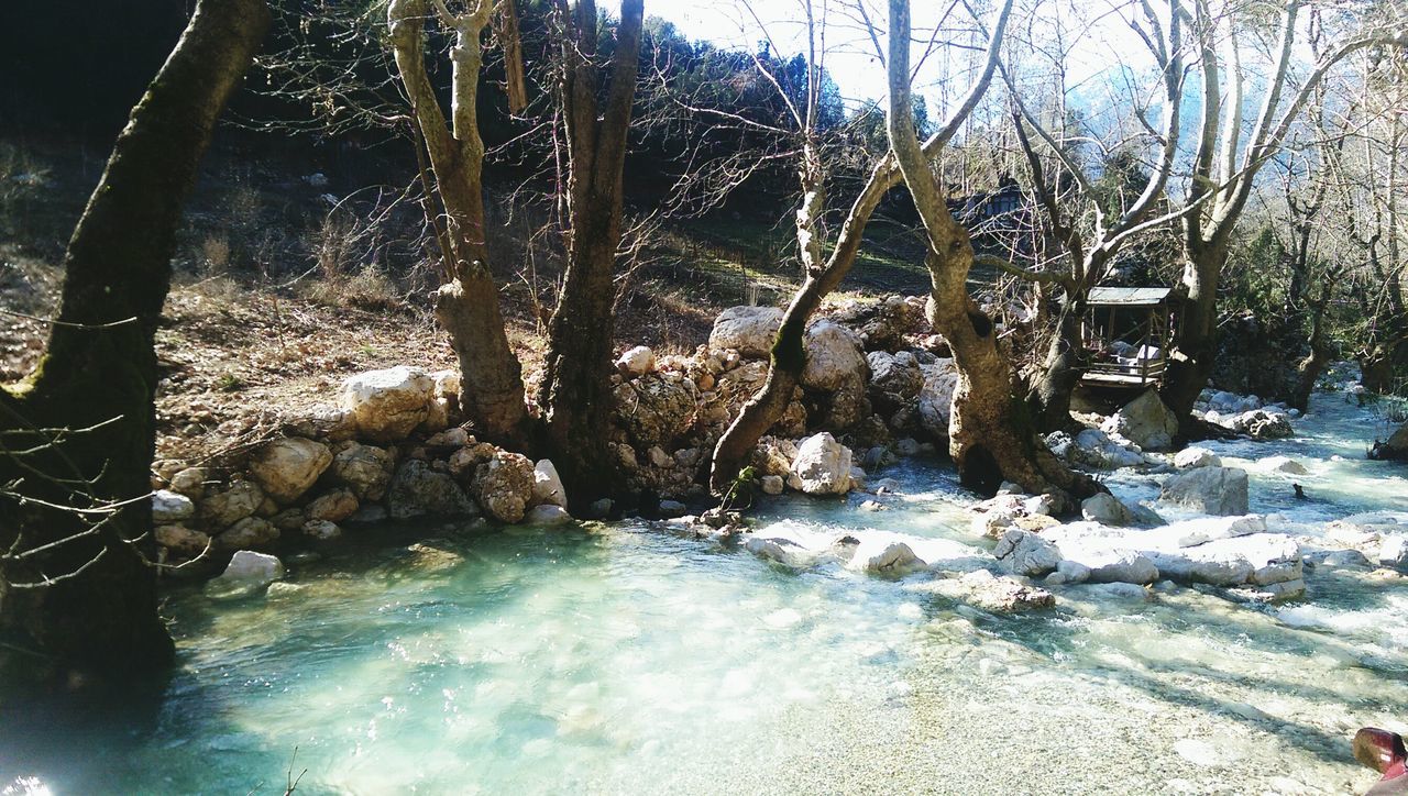 water, tree, nature, stream, flowing water, river, flowing, tranquility, forest, beauty in nature, winter, motion, branch, scenics, snow, rock - object, cold temperature, frozen, tranquil scene, day