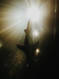 Sun shining through clouds