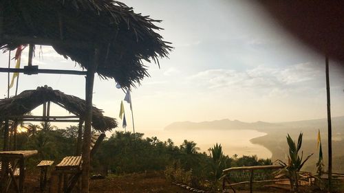 Palm trees on landscape against sky