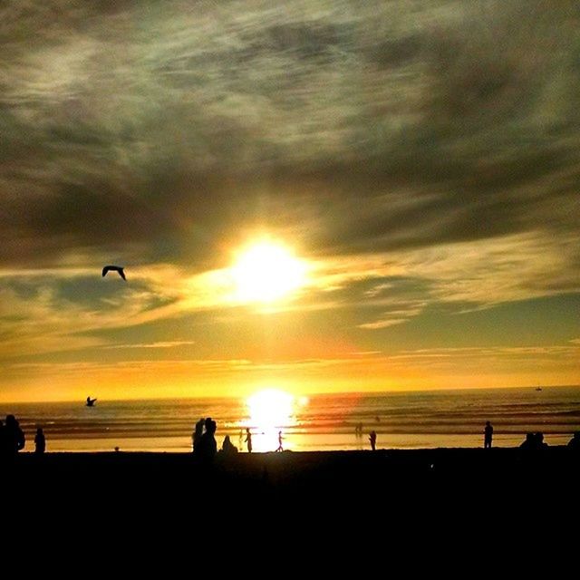 sunset, sun, sea, silhouette, horizon over water, sky, beach, bird, water, scenics, beauty in nature, animal themes, cloud - sky, tranquil scene, orange color, flying, shore, wildlife, tranquility, nature