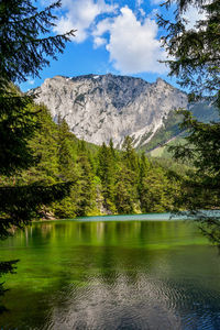 Scenic view of lake by trees against sky