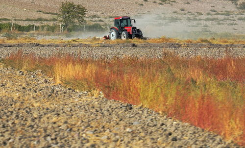 Scenic view of agricultural field