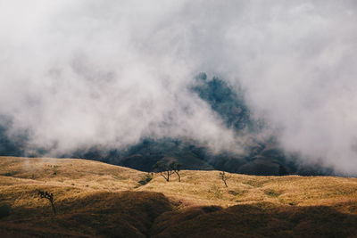 Scenic view of landscape against sky