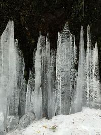 Panoramic shot of frozen waterfall in forest