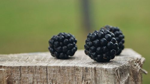 Black raspberries 