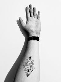 Close-up of human hand against white background