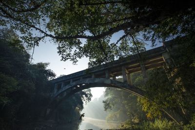 Low angle view of bridge over river in forest