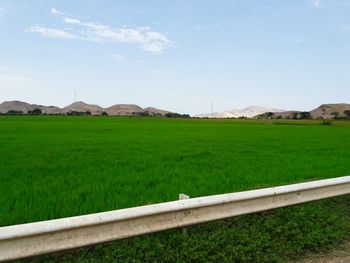 Scenic view of farm against sky