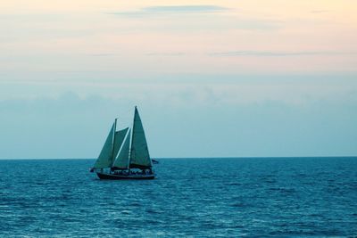 Sailboat sailing on sea against sky