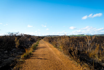 Dirt road amidst field against sky