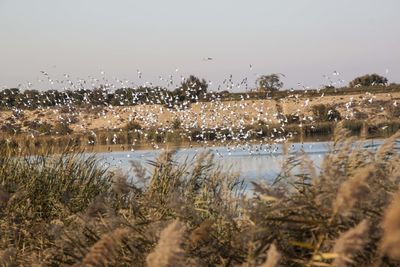 Scenic view of lake against sky