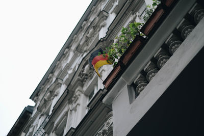 Low angle view of potted plants on building