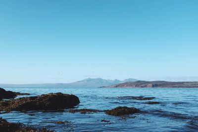 Scenic view of sea against clear blue sky