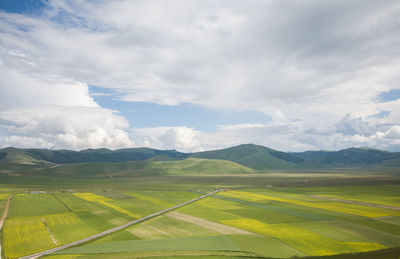 Scenic view of agricultural field against sky