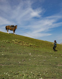 Boy pulling rope tied to horse on grassy field against sky