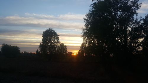 Silhouette trees on field against sky at sunset