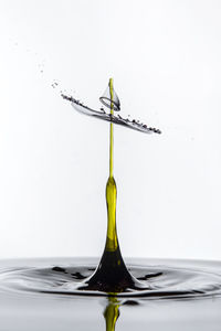 Close-up of drop falling on water against white background