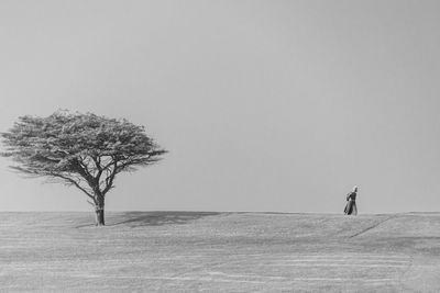 Tree on field against clear sky during winter