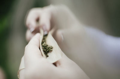 Cropped hands of woman holding marijuana joint