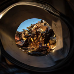 Close-up of reflection of dry leaves in glass