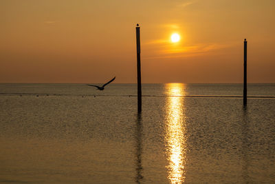 Silhouette bird on wooden post by sea against sky during sunset