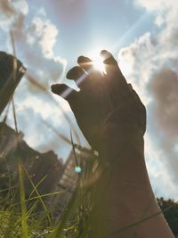 Low angle view of hand holding plant against sky