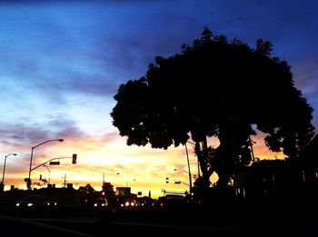 Silhouette trees against sky during sunset